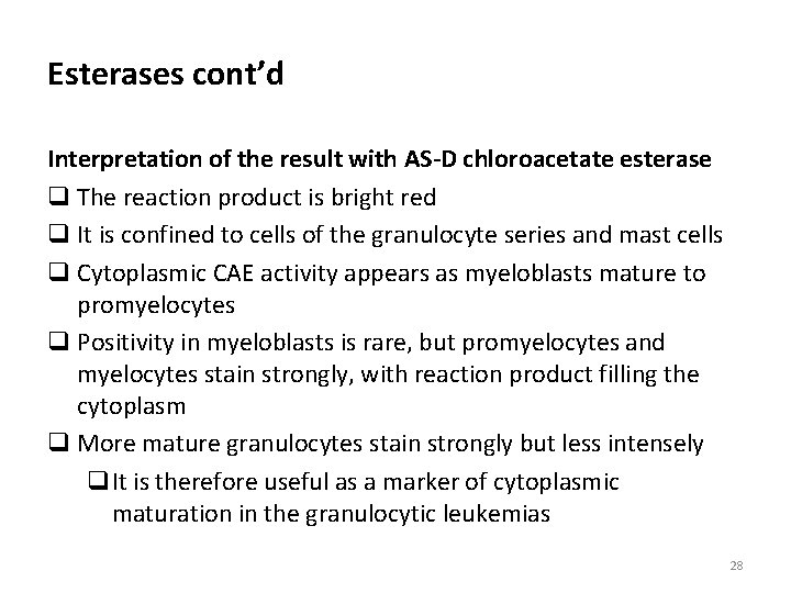 Esterases cont’d Interpretation of the result with AS-D chloroacetate esterase q The reaction product