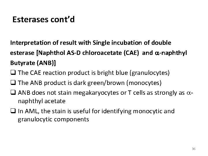 Esterases cont’d Interpretation of result with Single incubation of double esterase [Naphthol AS-D chloroacetate