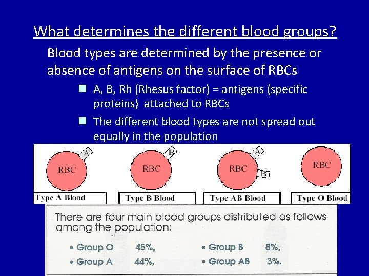 What determines the different blood groups? Blood types are determined by the presence or