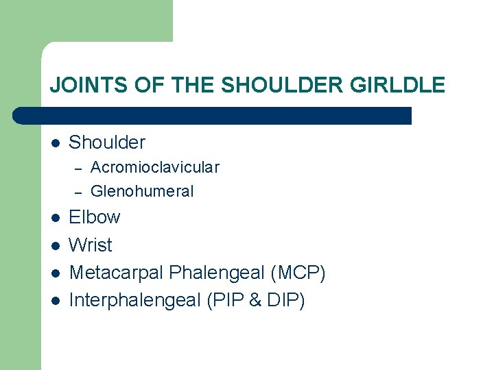 JOINTS OF THE SHOULDER GIRLDLE l Shoulder – – l l Acromioclavicular Glenohumeral Elbow