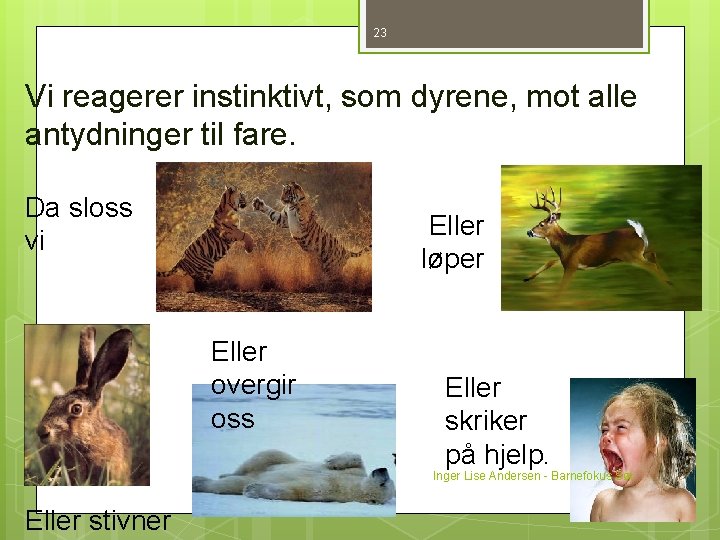 23 Vi reagerer instinktivt, som dyrene, mot alle antydninger til fare. Da sloss vi