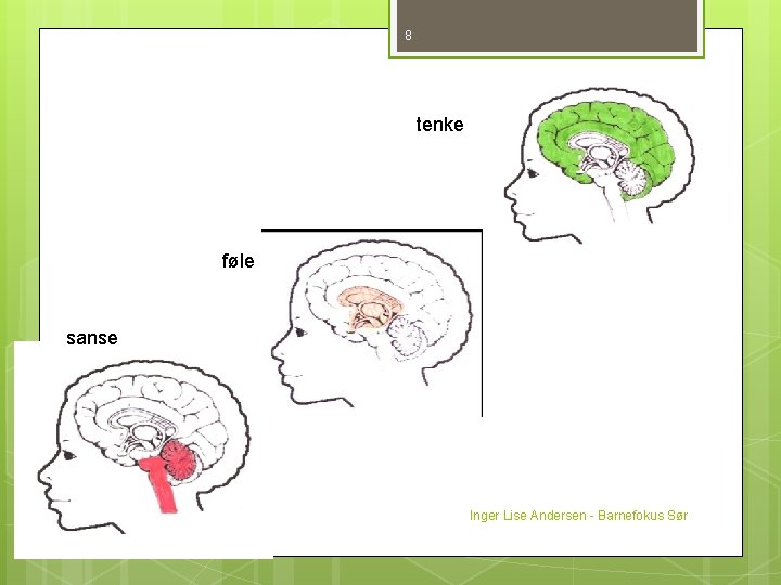 8 tenke føle sanse Inger Lise Andersen - Barnefokus Sør 