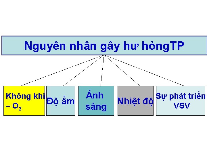 Nguyên nhân gây hư hỏng. TP Không khí Độ ẩm – O 2 Ánh