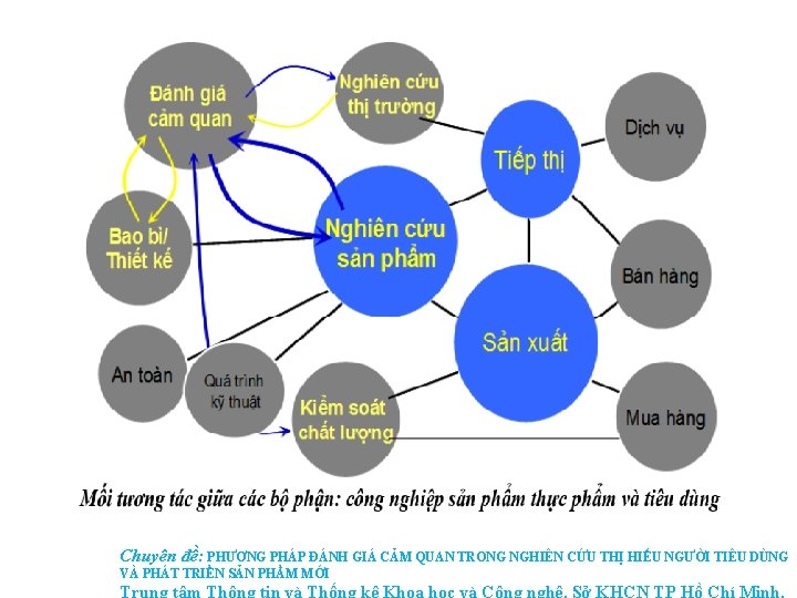 Chuyên đề: PHƯƠNG PHÁP ĐÁNH GIÁ CẢM QUAN TRONG NGHIÊN CỨU THỊ HIẾU NGƯỜI