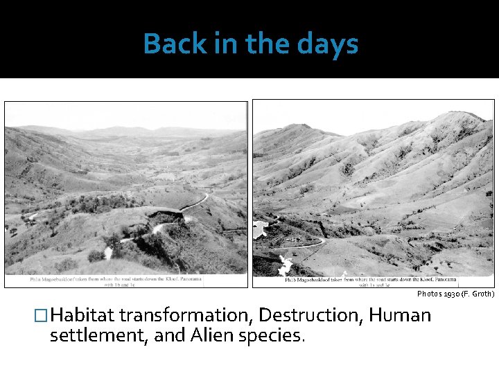 Back in the days Photos 1930 (F. Groth) �Habitat transformation, Destruction, Human settlement, and