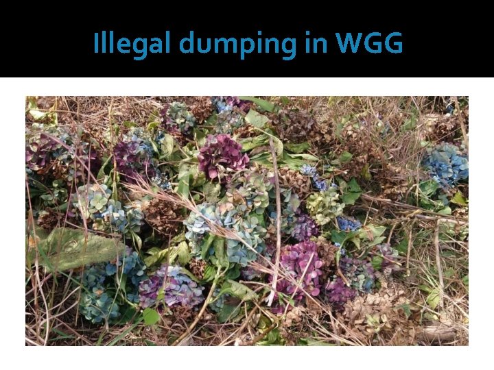 Illegal dumping in WGG 