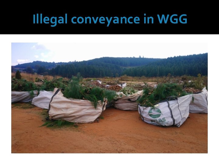 Illegal conveyance in WGG 