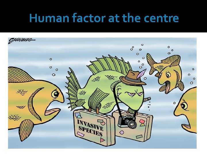 Human factor at the centre 