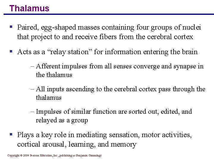 Thalamus § Paired, egg-shaped masses containing four groups of nuclei that project to and
