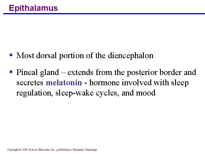 Epithalamus § Most dorsal portion of the diencephalon § Pineal gland – extends from