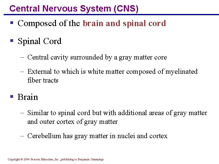 Central Nervous System (CNS) § Composed of the brain and spinal cord § Spinal