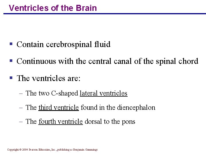 Ventricles of the Brain § Contain cerebrospinal fluid § Continuous with the central canal