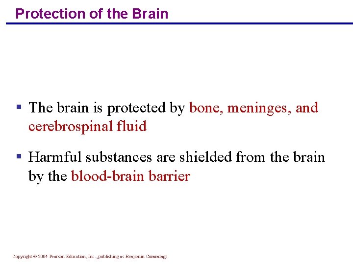 Protection of the Brain § The brain is protected by bone, meninges, and cerebrospinal