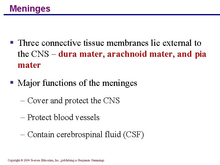 Meninges § Three connective tissue membranes lie external to the CNS – dura mater,