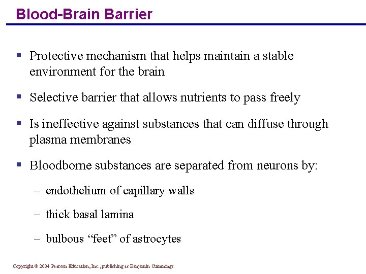Blood-Brain Barrier § Protective mechanism that helps maintain a stable environment for the brain