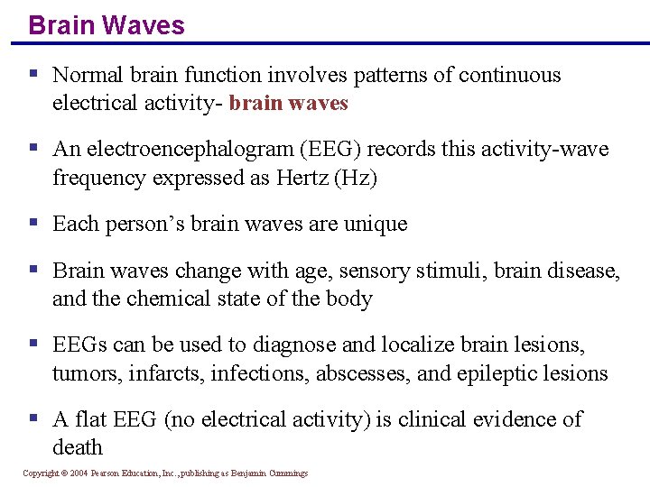 Brain Waves § Normal brain function involves patterns of continuous electrical activity- brain waves