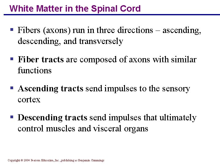 White Matter in the Spinal Cord § Fibers (axons) run in three directions –