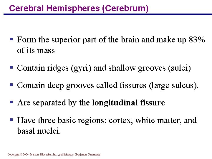 Cerebral Hemispheres (Cerebrum) § Form the superior part of the brain and make up