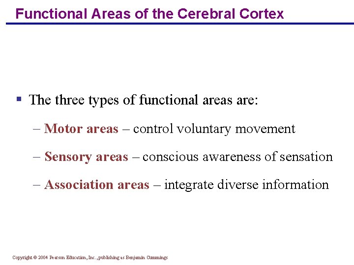 Functional Areas of the Cerebral Cortex § The three types of functional areas are: