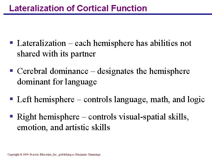 Lateralization of Cortical Function § Lateralization – each hemisphere has abilities not shared with