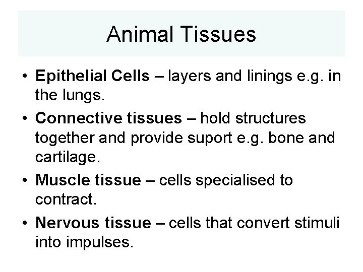 Animal Tissues • Epithelial Cells – layers and linings e. g. in the lungs.