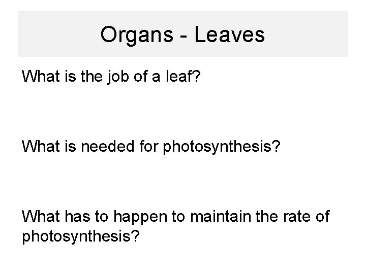 Organs - Leaves What is the job of a leaf? What is needed for