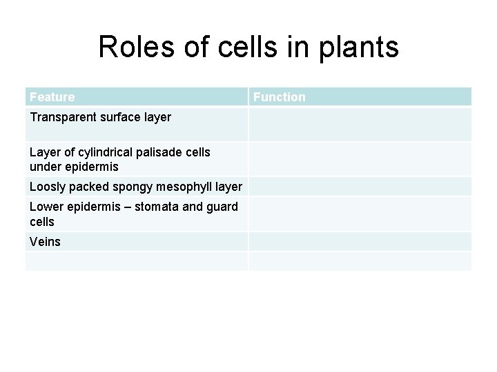 Roles of cells in plants Feature Transparent surface layer Layer of cylindrical palisade cells