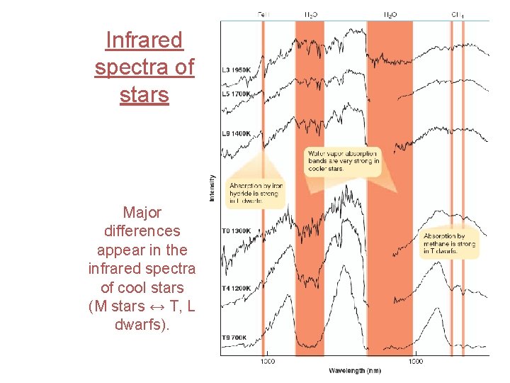 Infrared spectra of stars Major differences appear in the infrared spectra of cool stars