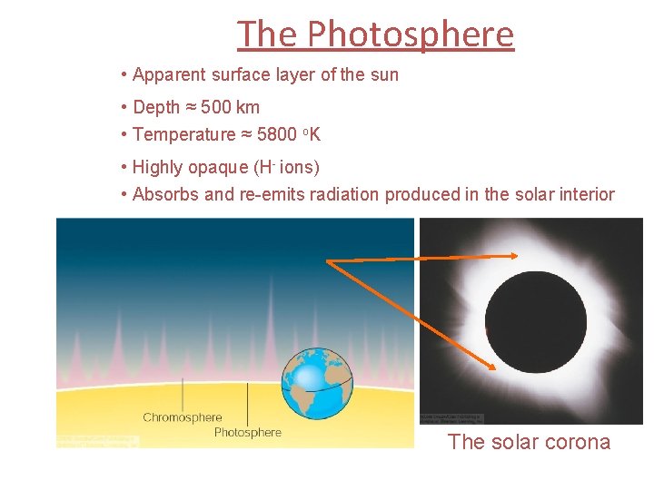 The Photosphere • Apparent surface layer of the sun • Depth ≈ 500 km