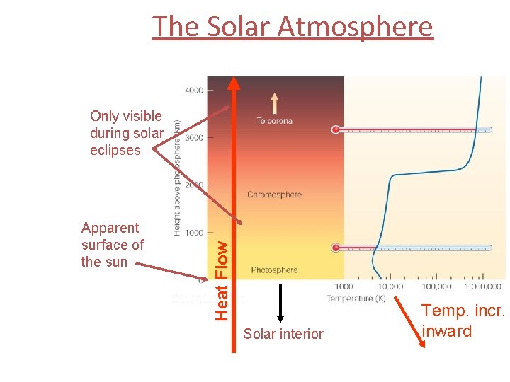 The Solar Atmosphere Apparent surface of the sun Heat Flow Only visible during solar