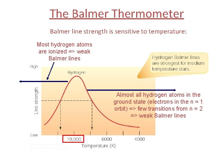 The Balmer Thermometer Balmer line strength is sensitive to temperature: Most hydrogen atoms are