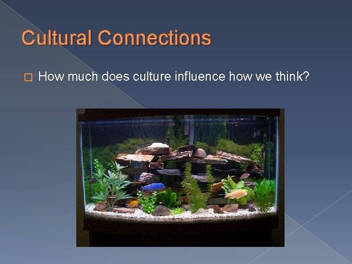 Cultural Connections � How much does culture influence how we think? 