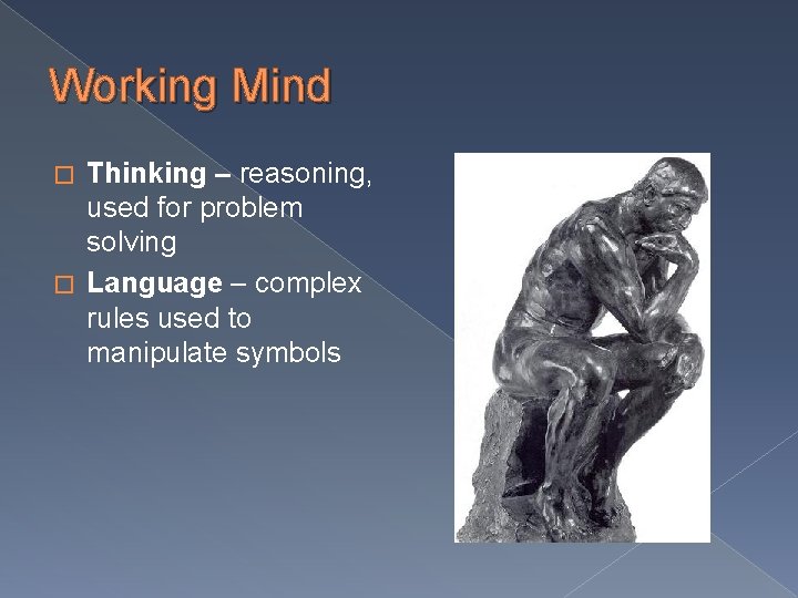 Working Mind Thinking – reasoning, used for problem solving � Language – complex rules