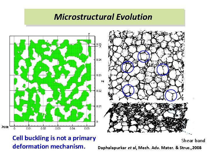 Microstructural Evolution Cell buckling is not a primary deformation mechanism. Shear band Daphalapurkar et