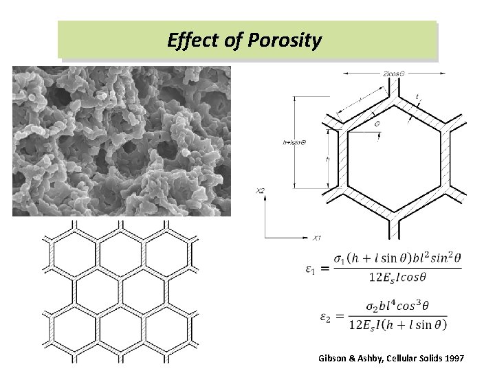 Effect of Porosity Gibson & Ashby, Cellular Solids 1997 