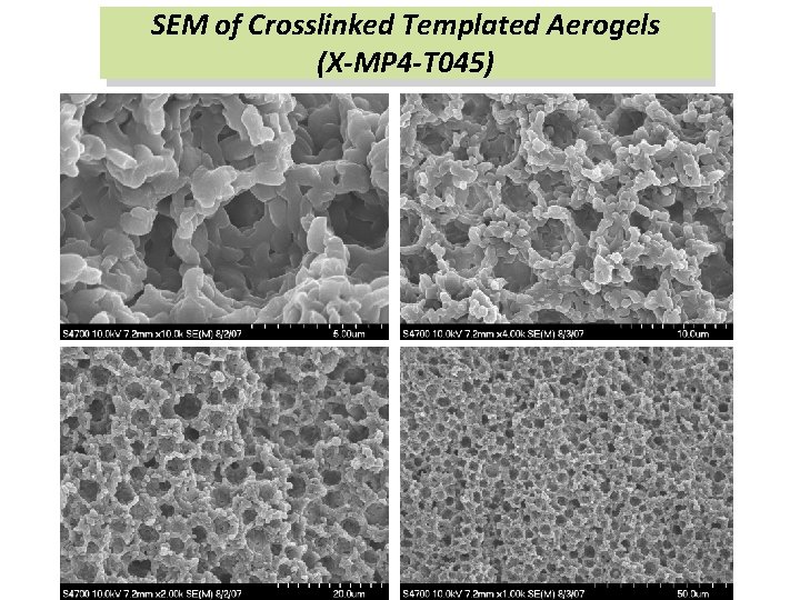 SEM of Crosslinked Templated Aerogels (X-MP 4 -T 045) 