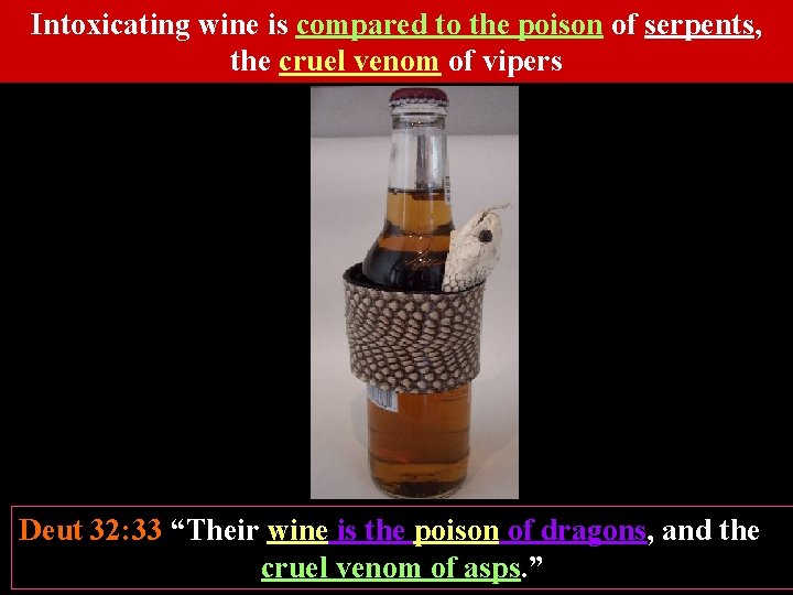 Intoxicating wine is compared to the poison of serpents, the cruel venom of vipers