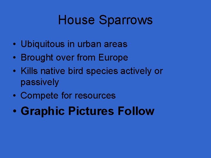 House Sparrows • Ubiquitous in urban areas • Brought over from Europe • Kills