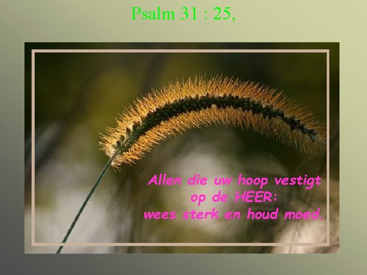 Psalm 31 : 25, Allen die uw hoop vestigt op de HEER: wees sterk