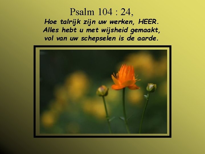 Psalm 104 : 24, Hoe talrijk zijn uw werken, HEER. Alles hebt u met