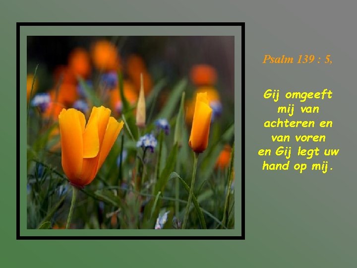 Psalm 139 : 5, Gij omgeeft mij van achteren en van voren en Gij