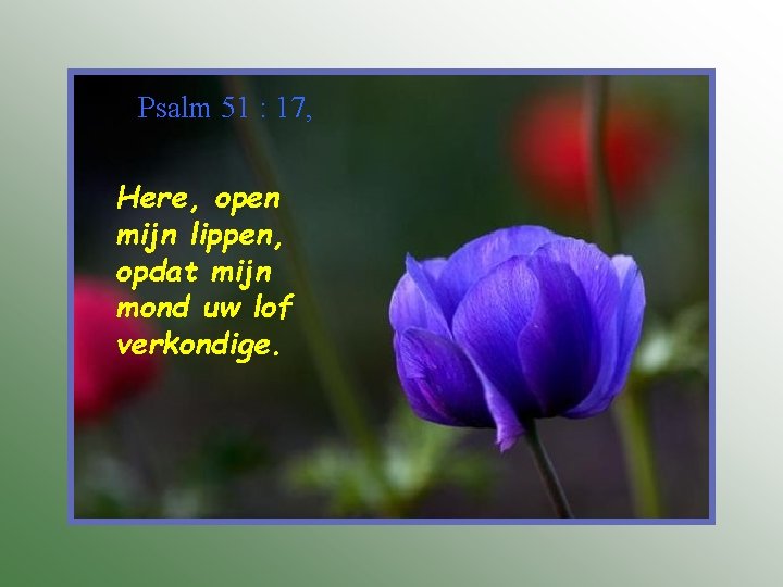 Psalm 51 : 17, Here, open mijn lippen, opdat mijn mond uw lof verkondige.