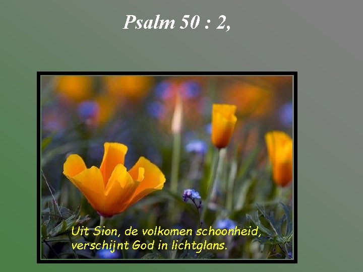 Psalm 50 : 2, Uit Sion, de volkomen schoonheid, verschijnt God in lichtglans. 