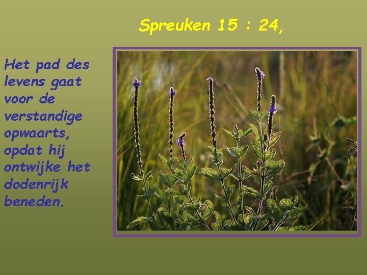 Spreuken 15 : 24, Het pad des levens gaat voor de verstandige opwaarts, opdat