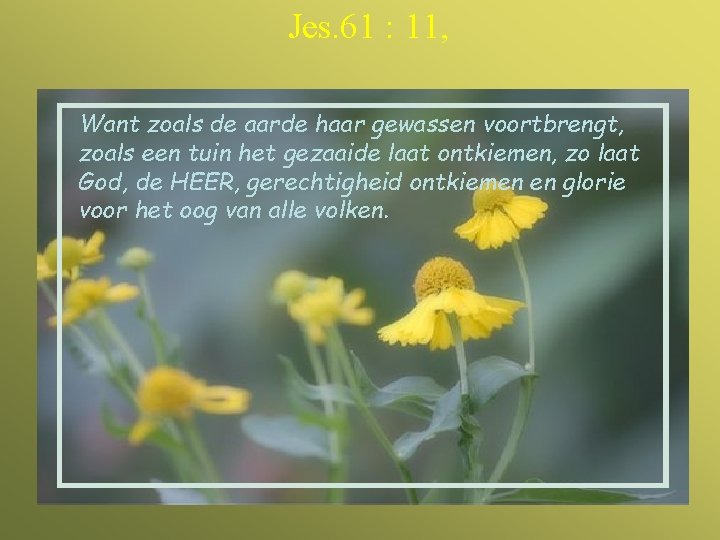 Jes. 61 : 11, Want zoals de aarde haar gewassen voortbrengt, zoals een tuin