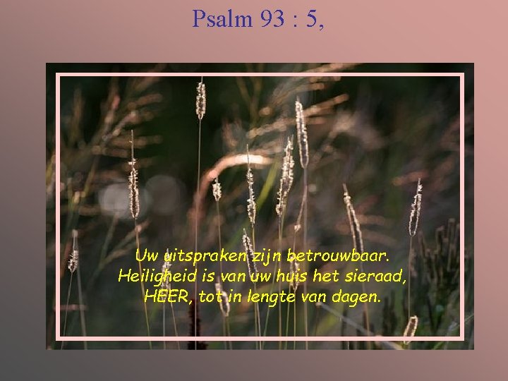 Psalm 93 : 5, Uw uitspraken zijn betrouwbaar. Heiligheid is van uw huis het