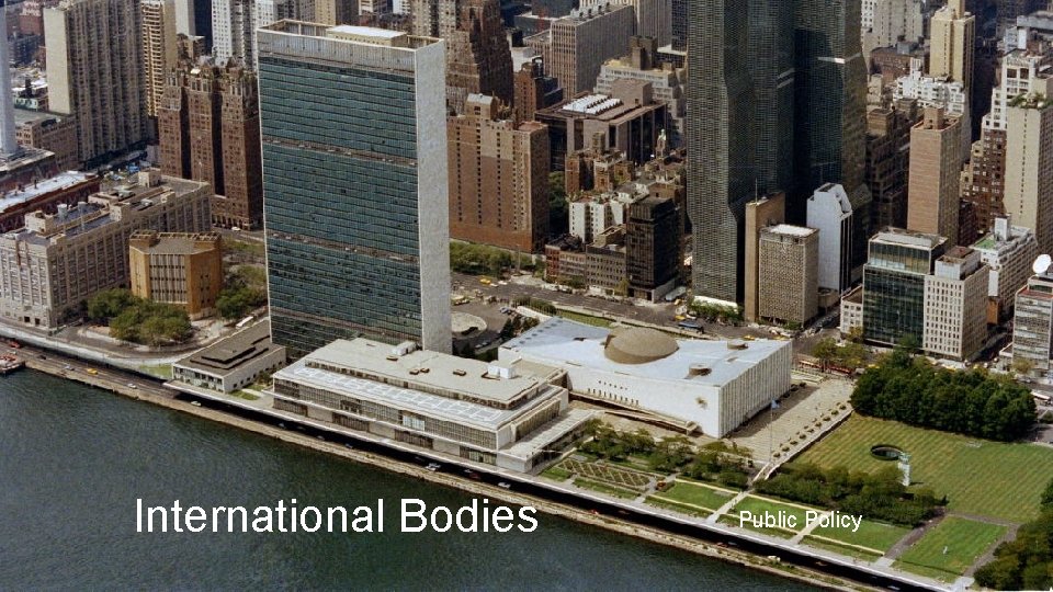 International Bodies Public Policy 