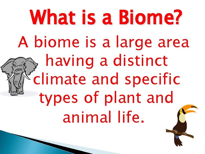 What is a Biome? A biome is a large area having a distinct climate
