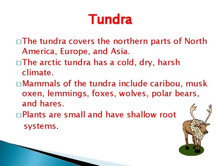 Tundra � The tundra covers the northern parts of North America, Europe, and Asia.