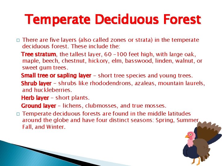 Temperate Deciduous Forest There are five layers (also called zones or strata) in the